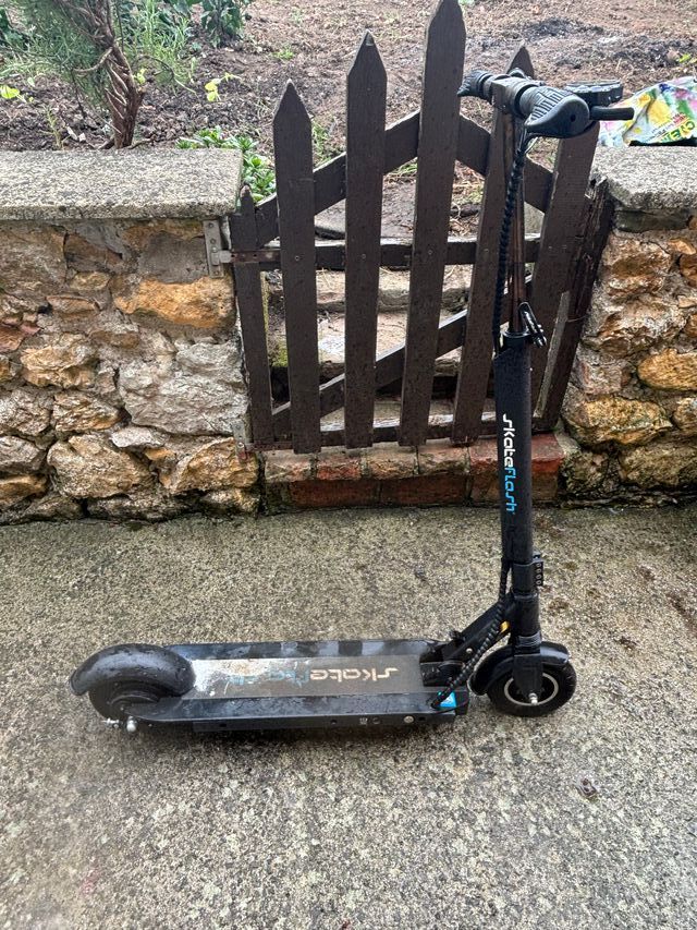 Scooter elettrico Skateflash 2