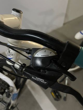 Bicicleta montaña Wolfbike Venus
