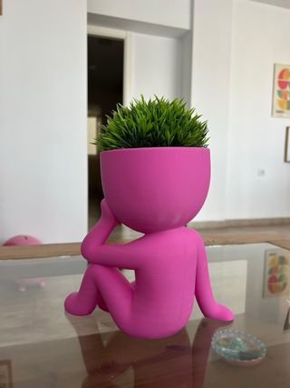 Maceta decorativa Plantón rosa