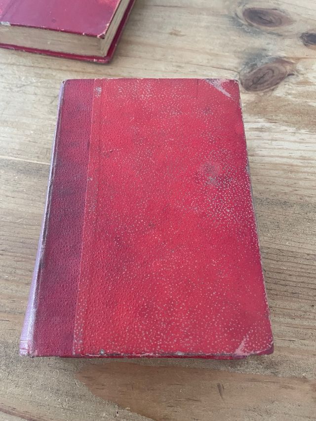 Libro antiguo 1906 - Los Desesperados