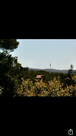 Terreno urbano - La Floresta