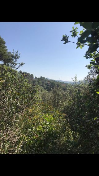 Terreno urbano - La Floresta