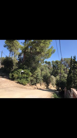 Terreno urbano - La Floresta