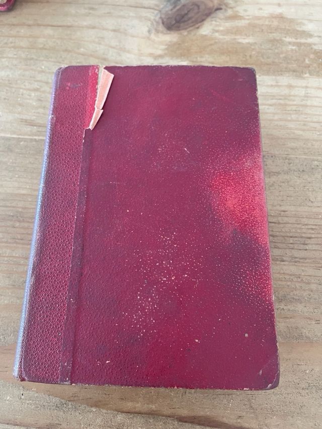 libro de 1909. El albergue del delito