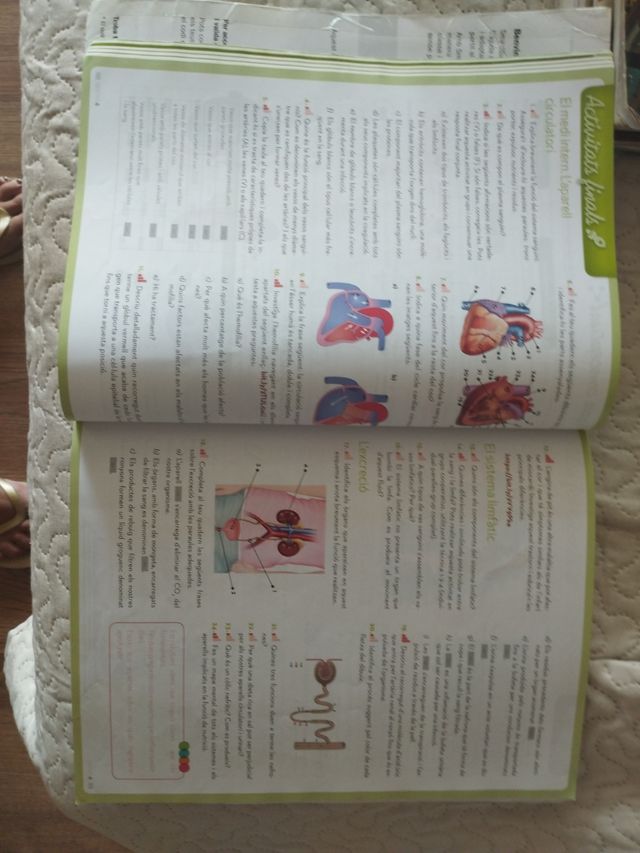 Biologia i Geologia 3r ESO. NOVA