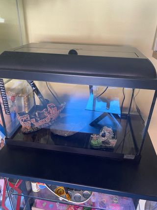 Acuario 60cm - Negro/
