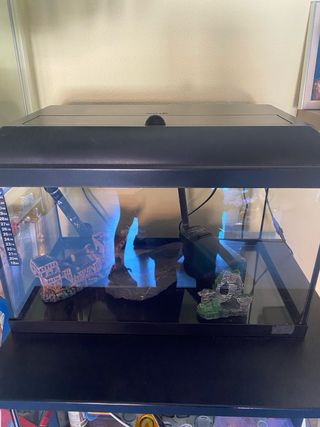 Acuario 60cm - Negro/