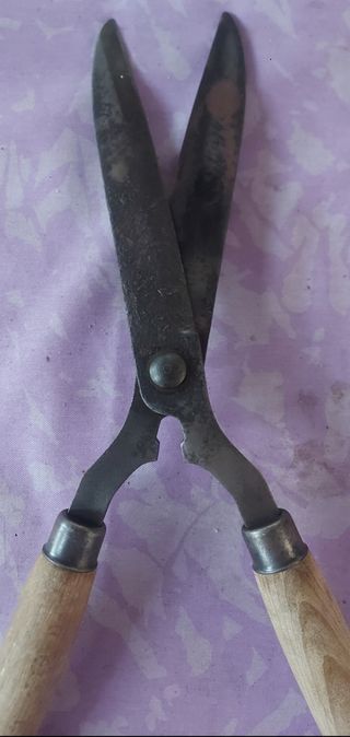 Tijeras antiguas de jardinero cortasetos
