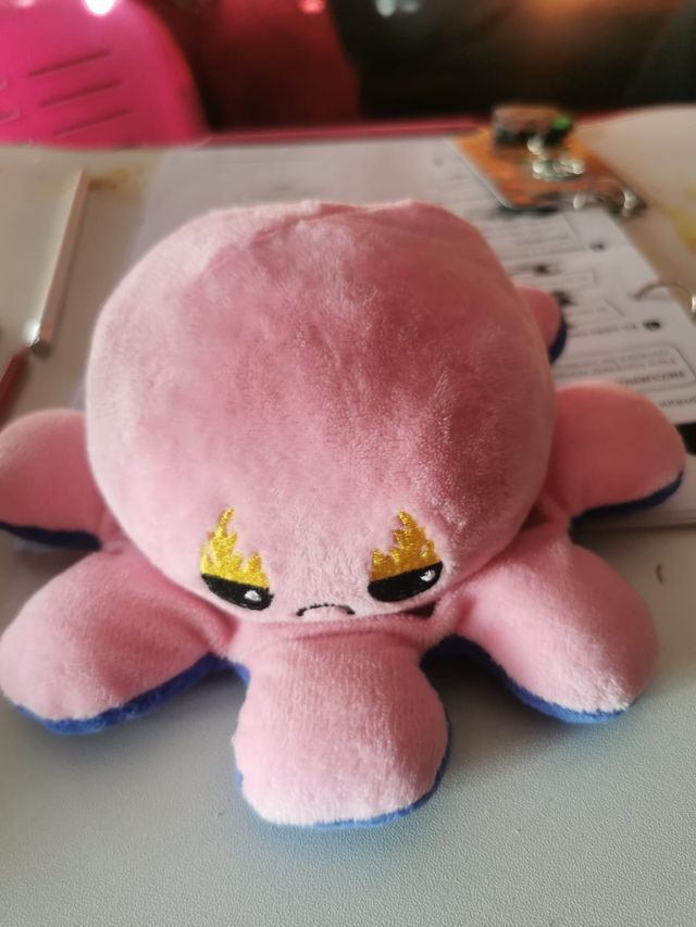 Polvo reversível Kawaii