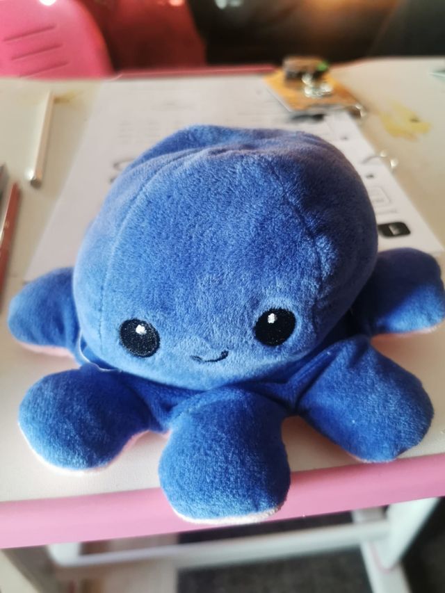 Polvo reversível Kawaii