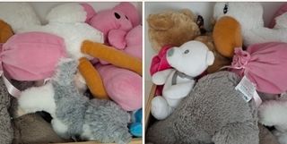 Peluches variados para niño/a