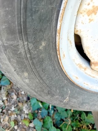 Remolque para perros