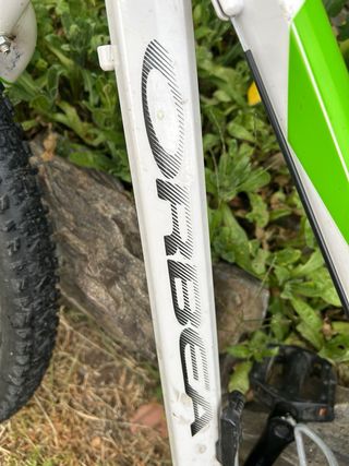 Bicicleta Orbea MX 24