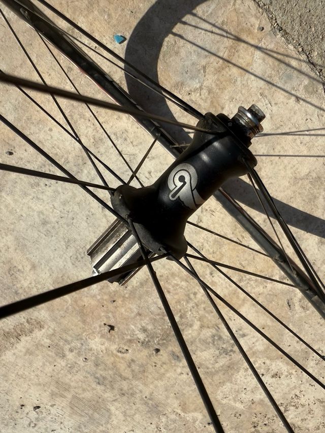 Ruota Campagnolo Zonda