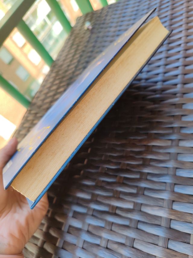 Pillage: la maldición del dragón