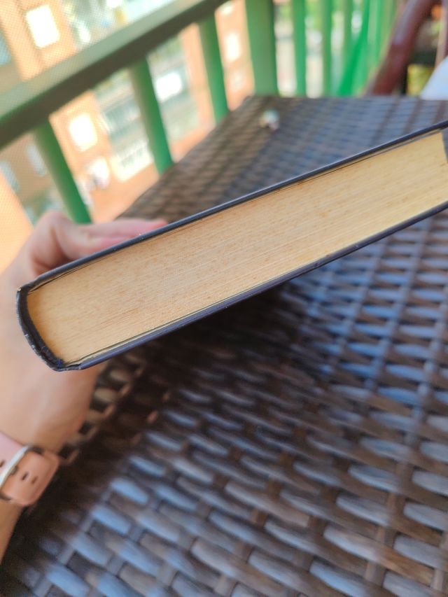 Pillage: la maldición del dragón