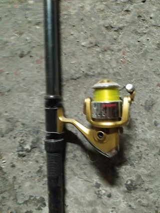 Canna Pesca 