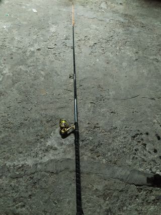 Canna Pesca 