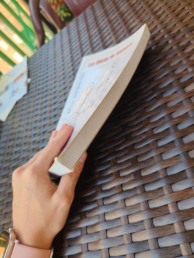 LAS CHICAS DE ALAMBRE (Spanish Edition)