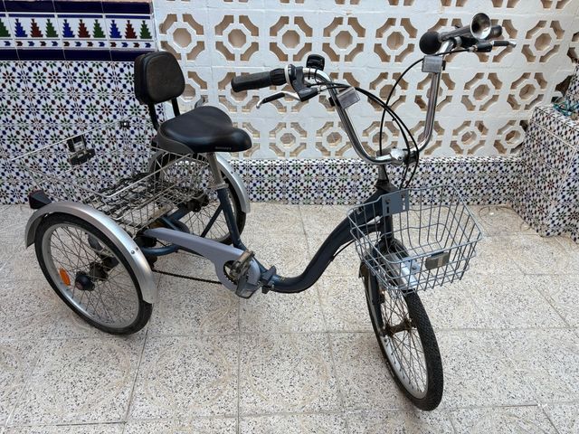 Triciclo adulto Monty