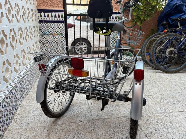 Triciclo adulto Monty