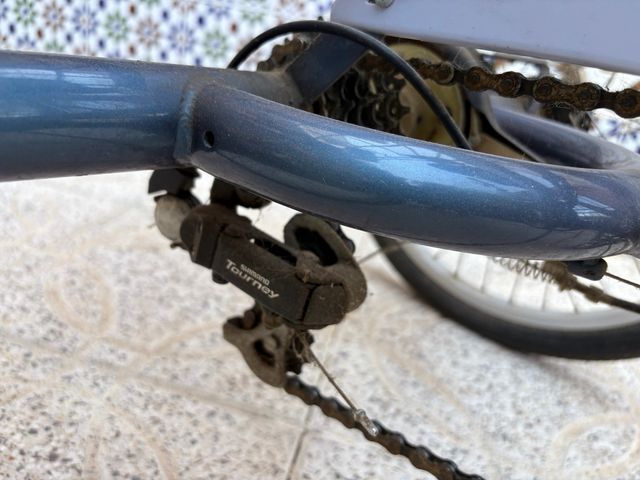 Triciclo adulto Monty