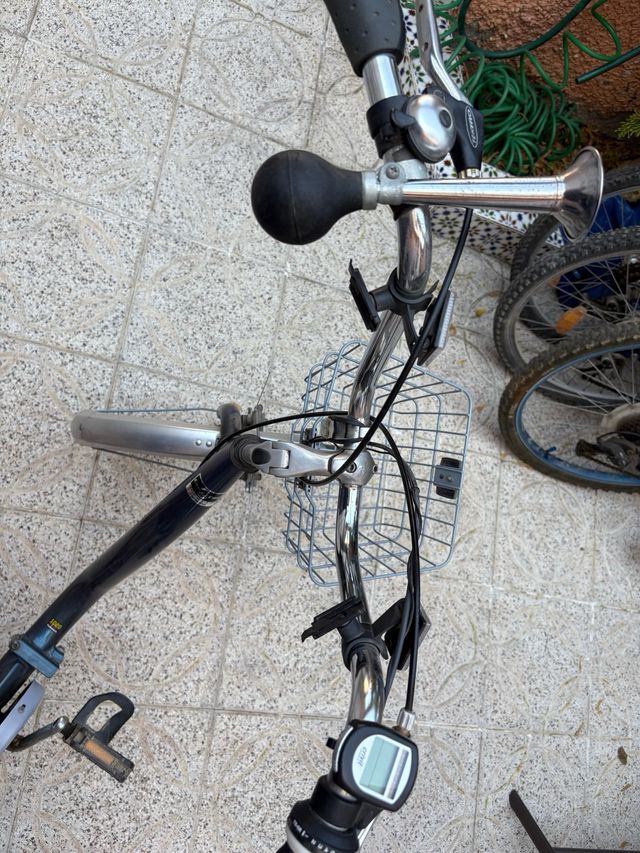 Triciclo adulto Monty