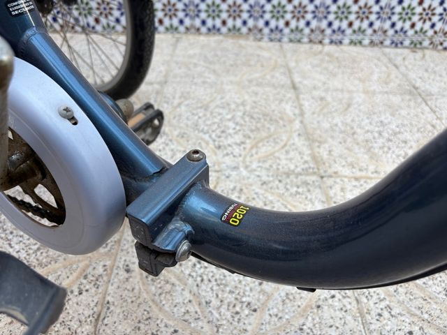 Triciclo adulto Monty