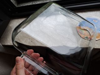 Teglia Pyrex vetro trasparente