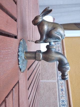 Grifo