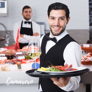 SE NECESITA CAMARERO/A