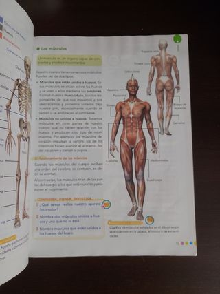 Ciencias de la Naturaleza 4.