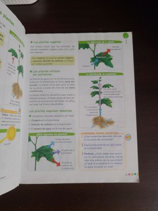 Ciencias de la Naturaleza 4.