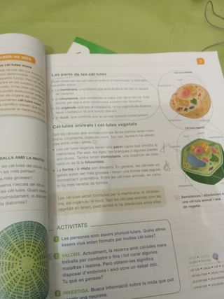 Coneixement Del Medi Natural, 6 Primària