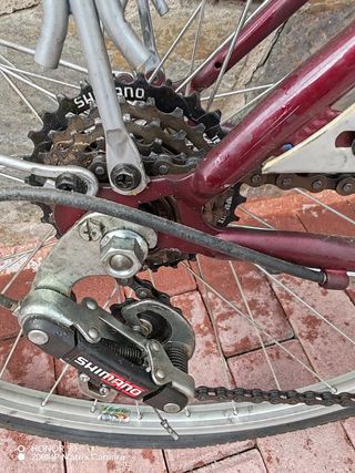 Bicicletas paseo (2) - 24" & 26", 6v