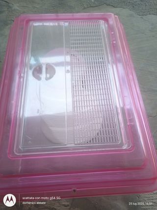 Tartarughieta Rosa Trasparente