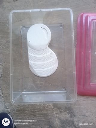 Tartarughieta Rosa Trasparente