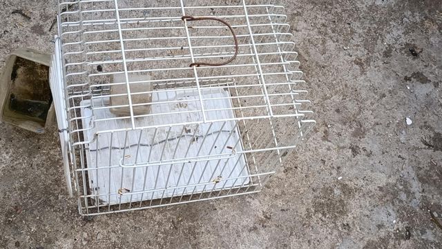 Jaula pajaros antigua