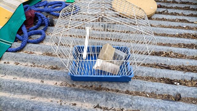 Jaula pajaros antigua