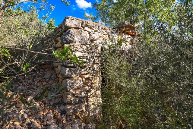 Finca rústica en una colina