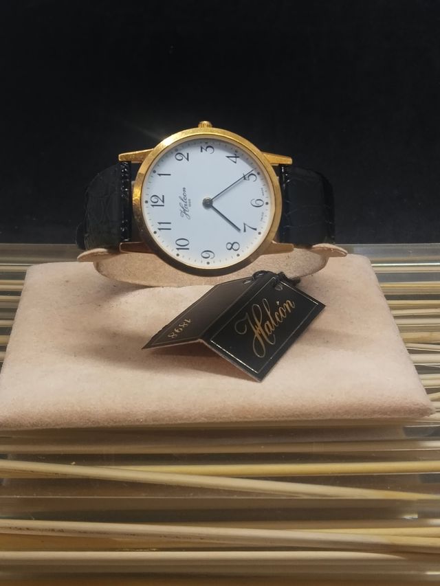 Reloj Halcon -  ETA 579.005