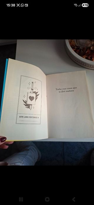 Todas esas cosas que te diré mañana / Everythin...