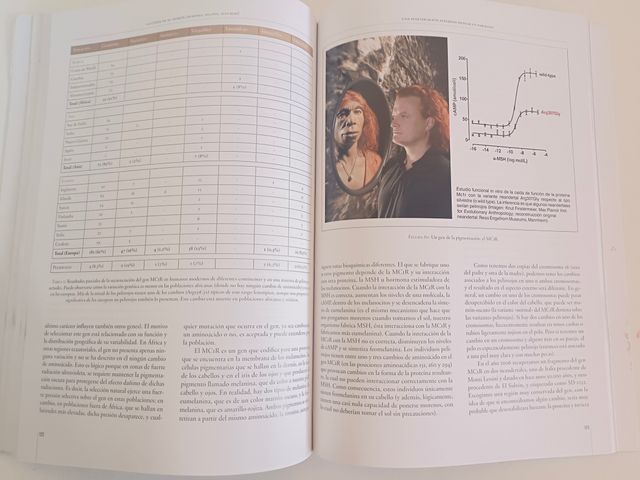 La cueva de El Sidrón (Borines, Piloña, Asturia...