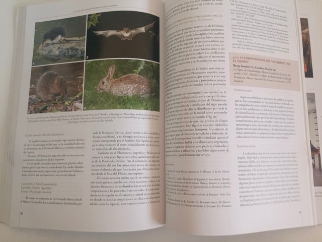 La cueva de El Sidrón (Borines, Piloña, Asturia...