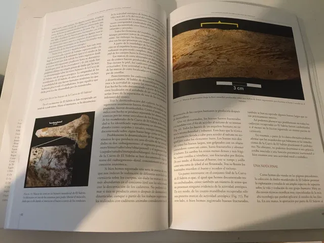 La cueva de El Sidrón (Borines, Piloña, Asturia...