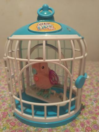Pajarito Little Live Pets