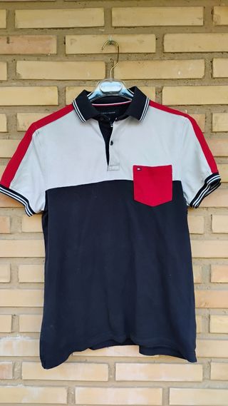Polo Tommy Hilfiger tricolor