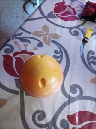 Boya pesca doble agujero