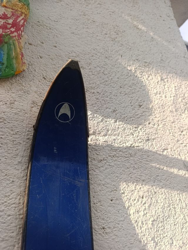 Esquís Fischer Raxy vintage