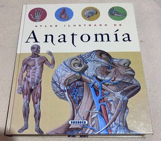 Atlas ilustrado de anatomía (Spanish Edition)
